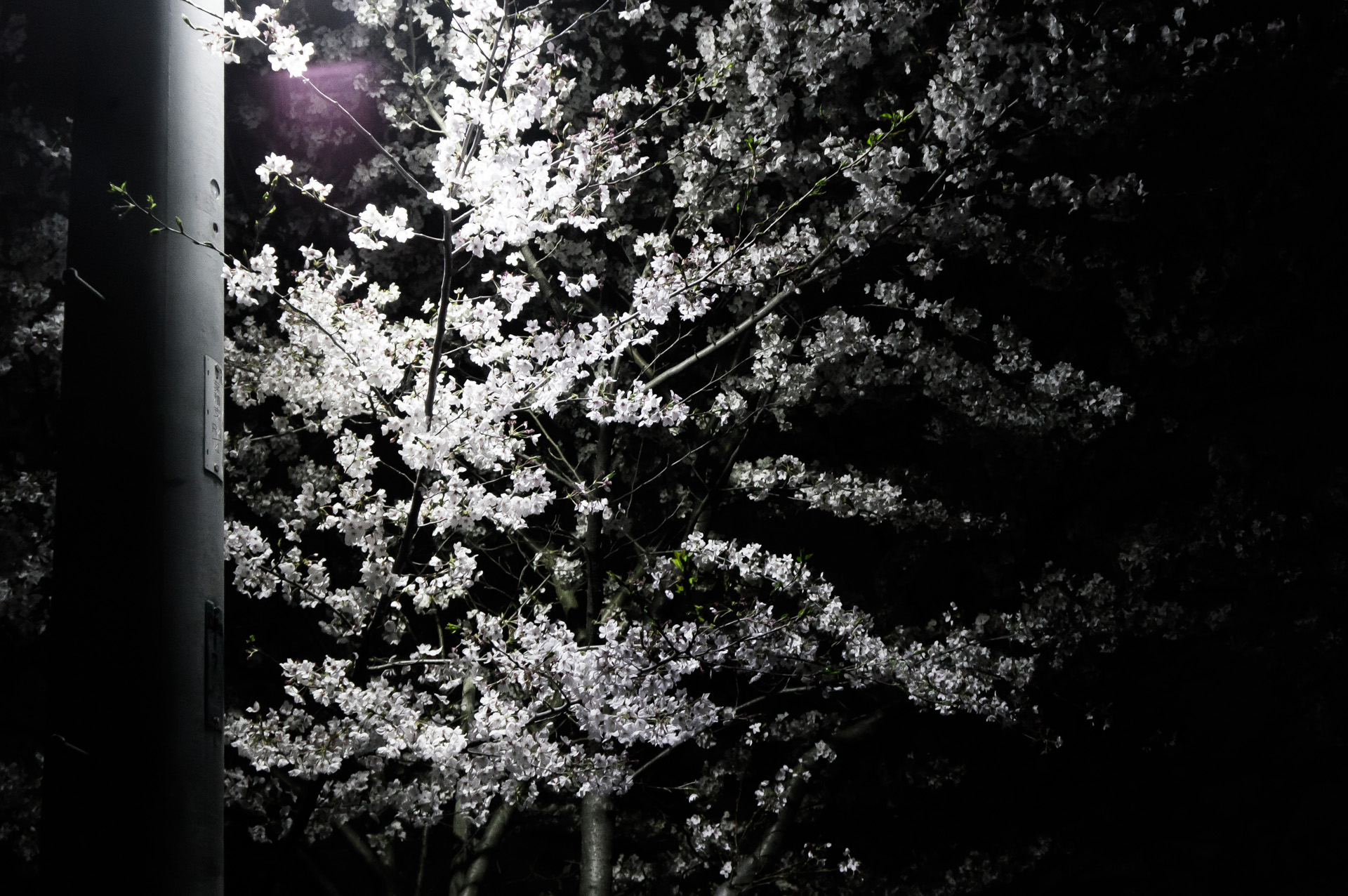 そろそろおしまい