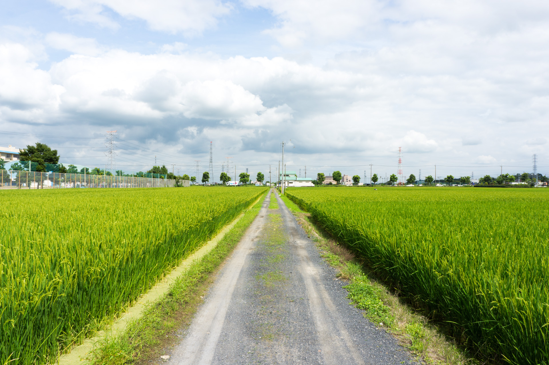 Featured image of post 坂戸高校の文化祭で、ギター部の演奏を聴いてきた