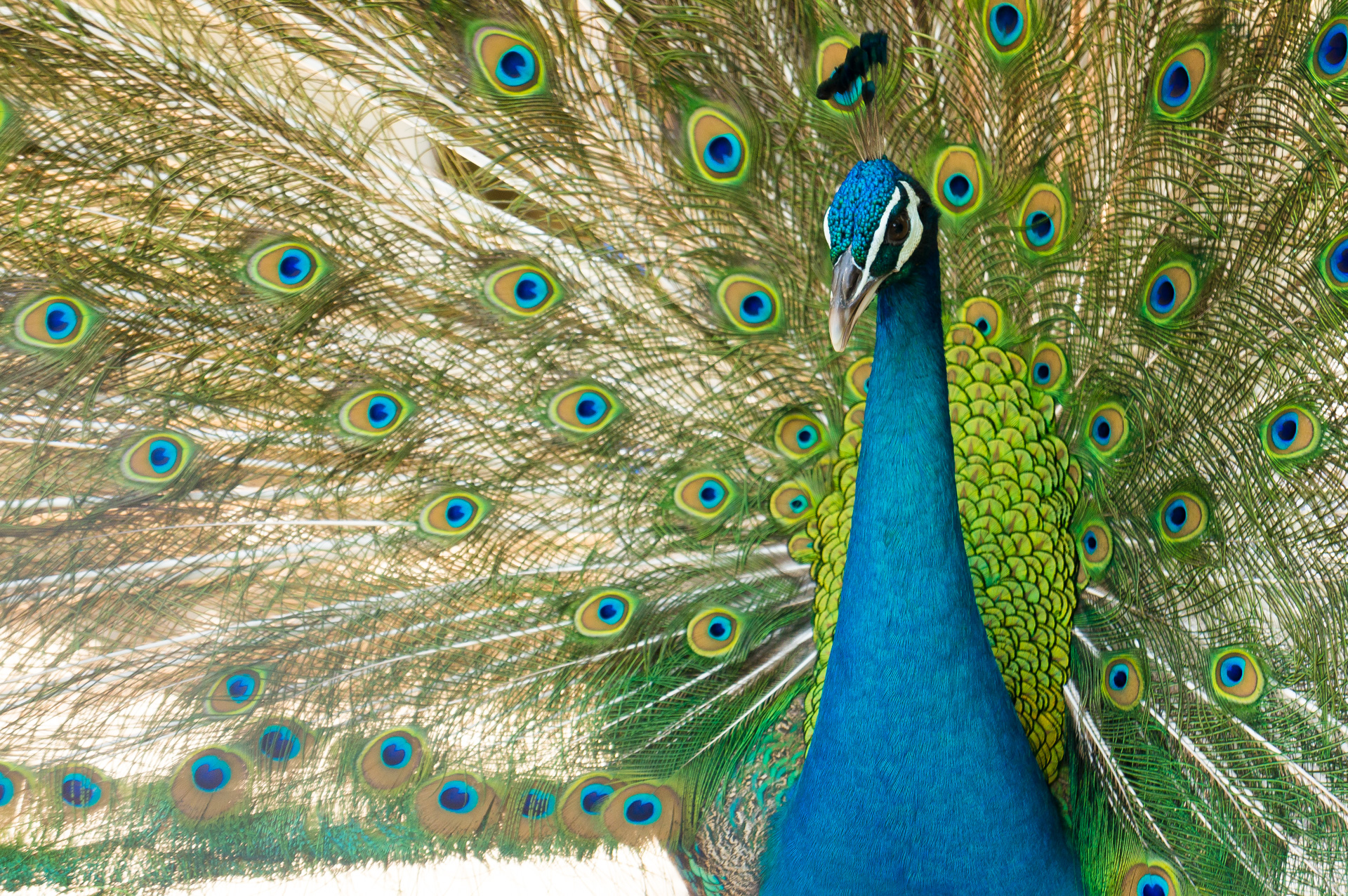 Featured image of post Docker 上で bind を動かす